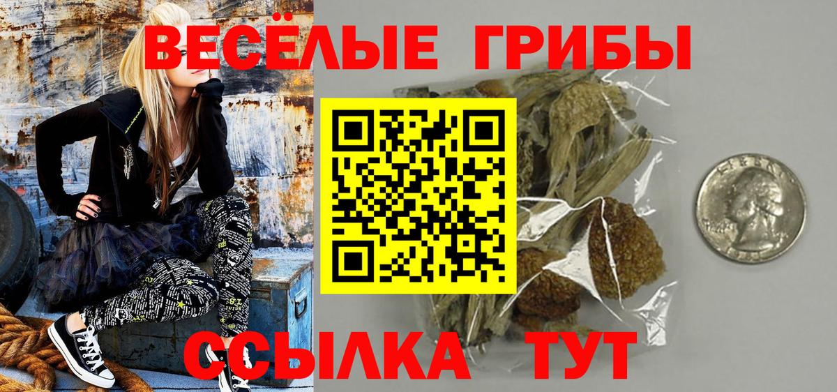 Галлюциногенные грибы Psilocybine cubensis  Вход с VPN  Апшеронск 